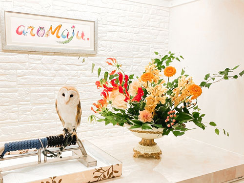 吉祥寺マッサージ・アロマージュ看板ふくろう クオーレ君 吉祥寺マッサージ・アロマージュ看板ふくろう クオーレ君